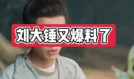 刘大锤爆料了哪些网红视频,网红视频背后的惊人爆料